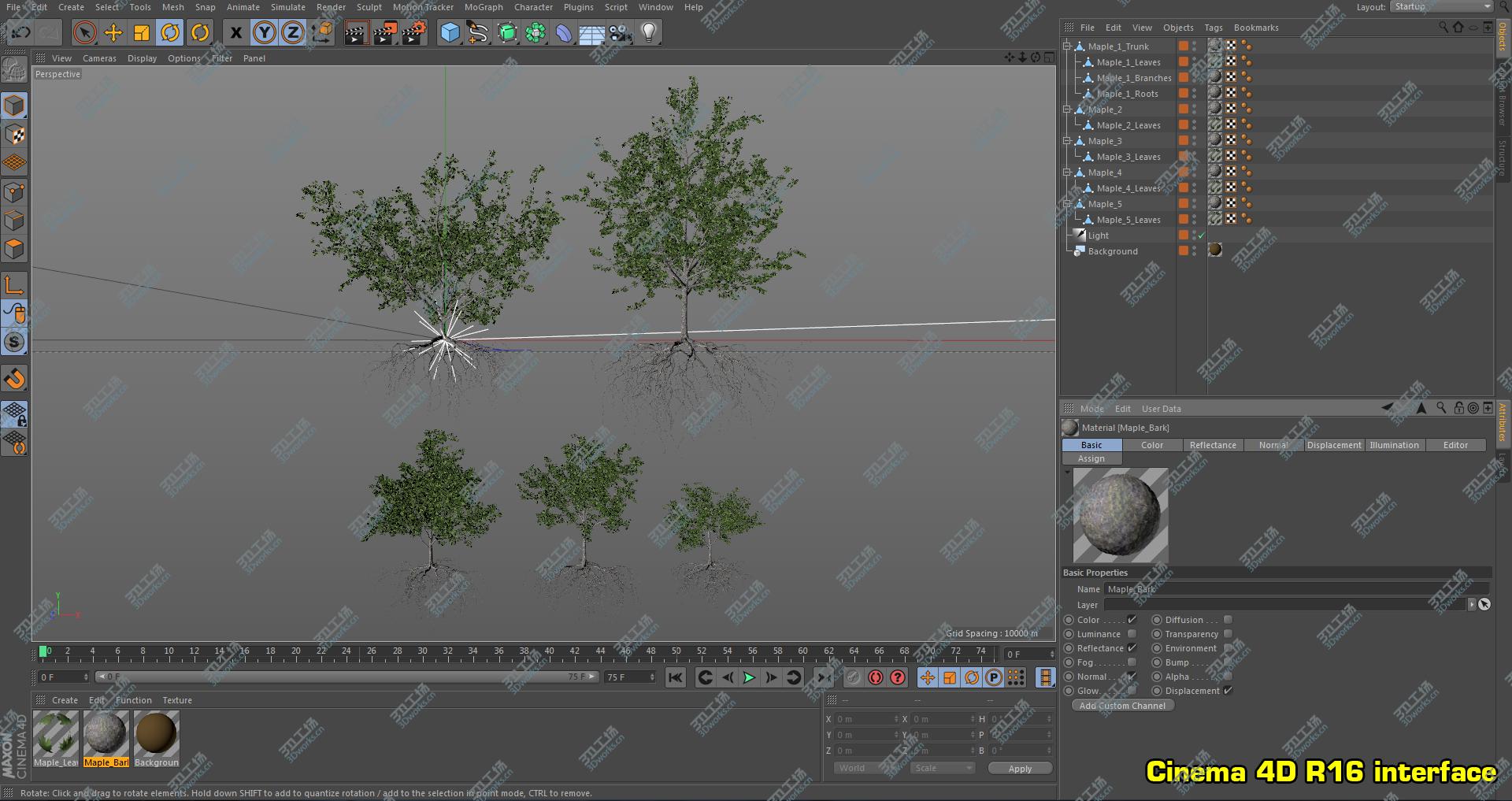 images/goods_img/202104092/Maple Summer Collection 3D/4.jpg